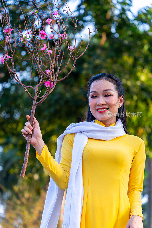 越南女孩穿着传统的ao dai服装，手持花枝在越南享受新年。春节和新年。